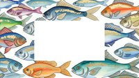 Colorful fish frame border with various marine species creating decorative space for text or design elements on white background.