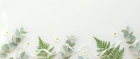 Flat lay arrangement of green eucalyptus leaves, fern fronds and white daisy flowers on light background for natural botanical design projects.