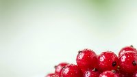 Fresh red cranberries with water droplets on soft green blurred background for healthy eating and cooking concepts.