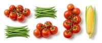 Fresh organic vegetables collection with ripe red tomatoes on vine, green beans and corn cob isolated on white background for healthy cooking recipes.