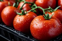 Fresh ripe red tomatoes with water droplets on dark surface. Organic vegetables for healthy cooking, salads and Mediterranean cuisine preparation.