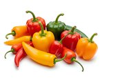 Fresh colorful bell peppers and hot chili peppers isolated on white background for cooking, healthy eating and organic food concepts.