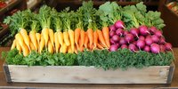 Fresh yellow and orange carrots with vibrant purple radishes arranged in rustic wooden box, bright green leaves attached, showcasing organic farm produce.