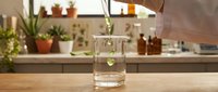 Minimalist glass vase with single green stem on wooden table, blurred kitchen background with potted plants and shelving, modern home decor styling.