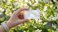 Hand holding blank white business card against blooming spring tree with white flowers. Natural outdoor mockup for branding and corporate identity design.