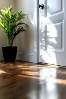 Sunlight streaming through window casting shadows on wooden floor near white door and potted palm plant, creating peaceful home interior atmosphere.