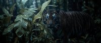 Majestic tiger prowling through dense tropical jungle foliage with dramatic lighting and shadows creating mysterious atmosphere for wildlife photography.