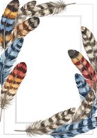 Colorful feathers arranged in a decorative frame border with white space for text, isolated on transparent background, ready for design use on invitations, posters, and greeting cards.