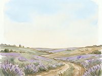 Rolling countryside landscape with expansive lavender fields in bloom, winding dirt path, and distant hills under soft sky. Suitable for travel, agriculture, and nature designs.