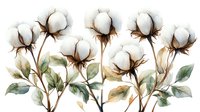 Watercolor cotton plant branches with white fluffy bolls and green leaves on transparent background, botanical art style composition for textile design.