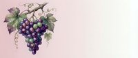 Purple grape cluster with green leaves and vine tendrils on soft pink background. Botanical fruit illustration for wine, vineyard, harvest themes.