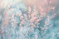 Soft pastel wildflowers and delicate branches in dreamy pink and blue bokeh light, evoking a gentle, airy spring mood.