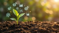 Young green plant seedling growing from soil with IoT technology icons and data analytics symbols in natural sunlight background for smart agriculture.