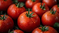 Fresh ripe red tomatoes with water drops and green stems in dark moody lighting, macro food photography showing natural texture and freshness.