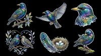 Six iridescent starling bird clipart set isolated on transparent background, featuring perched, flying, portrait, nesting pair, feather, and egg nest poses, ready for stickers, t-shirt design, and print on demand.