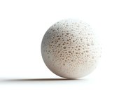 Round white natural sponge with porous texture isolated on white background for skincare, bath accessories, and cosmetic product photography.