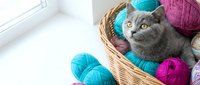 Gray cat sitting in wicker basket surrounded by colorful yarn balls in turquoise, pink, and purple for crafting and knitting projects.
