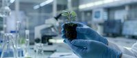 Scientist in blue gloves holding young green plant seedling in modern laboratory for botanical research and environmental science experiments.