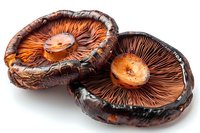 Fresh portobello mushrooms with exposed brown gills and orange caps on white background, macro view showing detailed texture and natural patterns.