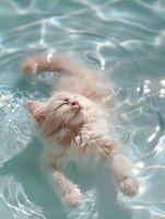White fluffy cat floating peacefully in turquoise pool water, eyes closed in relaxation, fur swaying underwater creating dreamy ethereal mood for wellness concepts.