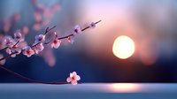 Delicate pink cherry blossoms branch against sunset sky with glowing sun creating dreamy atmosphere, soft focus nature photography with bokeh effect.