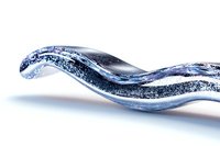 Dynamic wave of sparkling blue water with air bubbles flowing in smooth curved motion against white background, frozen moment in fluid photography.