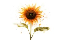 Watercolor sunflower with splashes and splatters on white background, single bloom with green leaves and artistic paint drops, isolated botanical artwork.