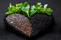 Heart shape made of black and brown chia seeds decorated with fresh green leaves on dark background, healthy superfood concept for wellness blogs.