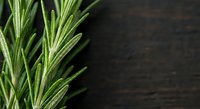 Fresh green rosemary sprigs with needle-like leaves on dark wooden background. Aromatic culinary herb for cooking, seasoning and natural medicine applications.