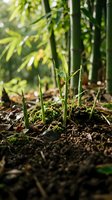 Young bamboo shoots emerging from rich soil in forest setting with lush green foliage background. Suitable for nature, gardening, and environmental content.