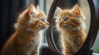 Adorable orange tabby kitten looking at reflection in round mirror, fluffy fur catching sunlight, curious expression, domestic pet portrait for home decor.