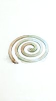 Watercolor spiral shell illustration in soft earth and sage tones, isolated on white background for design projects, clipart, and decorative applications.