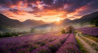 Stunning lavender field at sunrise with dramatic orange and pink sky over mountain landscape. Rural farmhouse and winding path through purple flower rows create peaceful countryside scene.