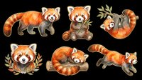 Cute red panda clipart set with six poses, watercolor style, isolated on transparent background. Great for stickers, t-shirt design, print on demand, and sublimation.