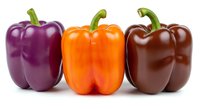 Fresh purple, orange and dark red bell peppers isolated on white background, ready for culinary design, food packaging and restaurant menus.