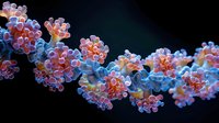 Microscopic view of coronavirus cells in pink and blue colors against dark background showing detailed viral structure and protein spikes in scientific visualization.