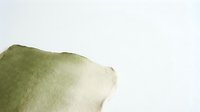 Soft green watercolor wash with organic flowing texture on white background for artistic projects and creative designs.