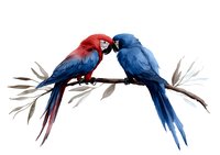 Two vibrant macaw parrots perched on branch, one red and one blue, touching beaks in affectionate pose against white background, isolated watercolor style artwork.