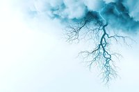 Lightning bolt branching through stormy turquoise sky resembles bare tree branches, creating dramatic natural pattern against moody cloudscape. For weather and nature designs.