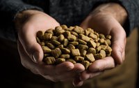Caucasian hands holding pile of dry pet food or kibble against dark background, showcasing pet care and animal nutrition.