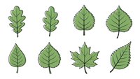 Collection of green leaf icons with black outlines isolated on white background for botanical design projects and nature-themed graphics.
