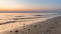 Serene beach at golden hour with gentle waves washing sandy shore scattered with seashells and pebbles creating peaceful coastal atmosphere for relaxation.
