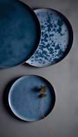 Modern ceramic plates in deep blue glazes with speckled patterns and minimalist design, one featuring a delicate dried leaf accent for contemporary table setting.