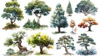 Watercolor collection of trees in different seasons and species, painted with soft brushstrokes showing varied shapes, sizes and natural colors. Nature illustration set.