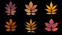 Six autumn leaves in rich red, orange, and yellow tones, isolated on transparent background. Ready for T-shirts, stickers, sublimation, and print on demand designs.
