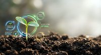 Young green plant seedling emerging from rich soil with digital growth analytics and optimization data overlays in natural sunlight for business development.