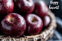 Fresh red apples with water drops in rustic woven basket, dark moody background with happy harvest text overlay, macro food photography for seasonal design.