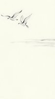 Minimalist seagulls flying over calm ocean waves in soft beige tones creating peaceful coastal atmosphere for meditation and relaxation designs.