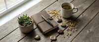 Cozy morning scene with coffee cup, notebook, succulent plant and scattered granola on rustic wooden table by window creating warm workspace atmosphere.
