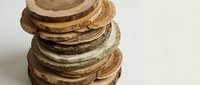 Stack of natural wood slices in various sizes and textures, perfect for rustic crafts, DIY projects, and organic home decor on white background.